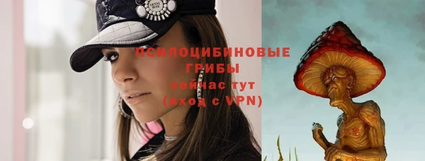 ГАЛЛЮЦИНОГЕННЫЕ ГРИБЫ Богородицк