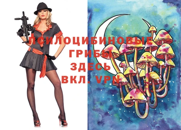 прущая мука Богданович