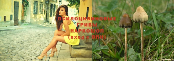 прущая мука Богданович