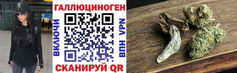купить наркотики сайты  Менделеевск  Галлюциногенные грибы Cubensis 
